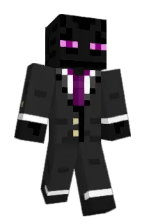 TwinsCompany Minecraft avatar full body