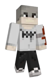 Twitwi500 Minecraft avatar full body