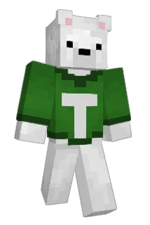 TwoDark Minecraft avatar full body