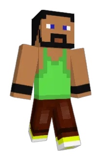 Twoflaree Minecraft avatar full body