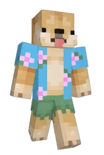 TxJuniorPr_ Minecraft avatar full body