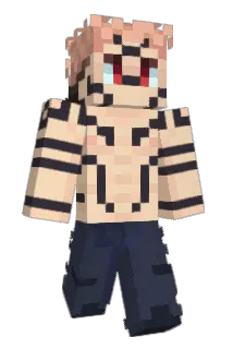 Txplic Minecraft avatar full body