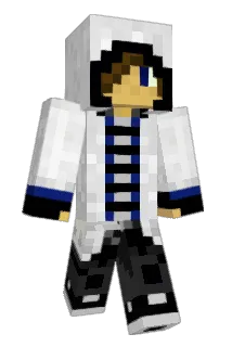 Ty1013 Minecraft avatar full body