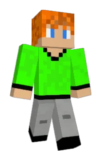 Ty2Fly Minecraft avatar full body