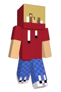TyHoooo Minecraft avatar full body