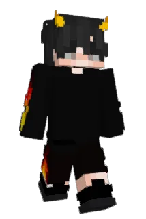 Ty_zi_full Minecraft avatar full body