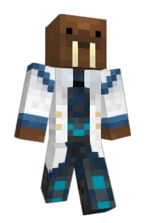 Tycho_Irion Minecraft avatar full body