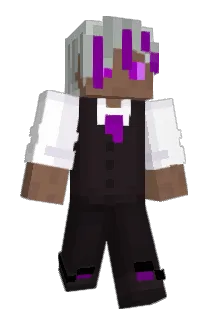 Tychoonn Minecraft avatar full body
