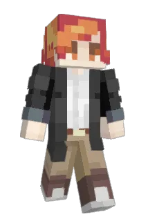 Tyflanders Minecraft avatar full body