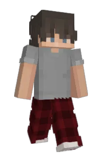 Tyler1667 Minecraft avatar full body