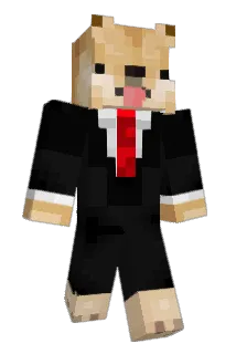 Tylercap1321 Minecraft avatar full body