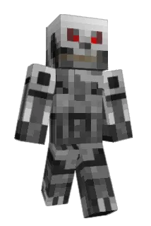Tylerjb1337 Minecraft avatar full body