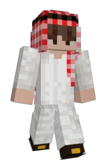 TymonWl Minecraft avatar full body