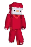 Tymzo Minecraft avatar full body