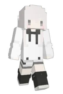 Tynels Minecraft avatar full body