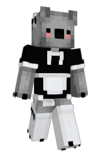 Tynski Minecraft avatar full body
