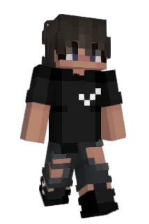 Typllsch Minecraft avatar full body