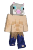 Tysbro Minecraft avatar full body