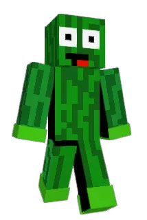 Tywa__ Minecraft avatar full body