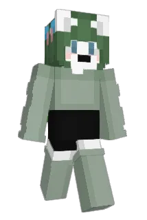 Tyyde Minecraft avatar full body