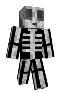 Tzoopz1 Minecraft avatar full body