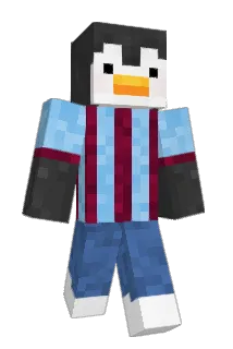 Tzuri61 Minecraft avatar full body