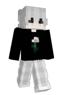 U10P Minecraft avatar full body