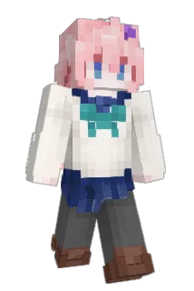 U511 Minecraft avatar full body