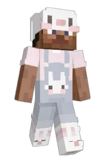 U5_S Minecraft avatar full body