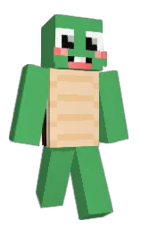Custom render preview