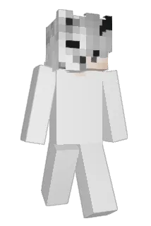 UND3T3CT3D Minecraft avatar full body