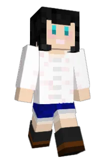 UR_222 Minecraft avatar full body