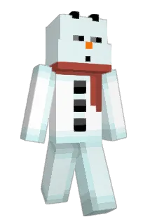 US0PP Minecraft avatar full body