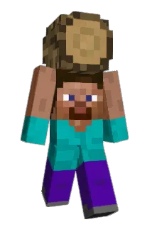 USER0170 Minecraft avatar full body