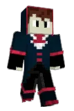USPL_ Minecraft avatar full body