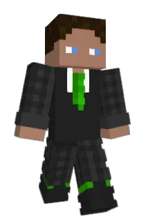 Unbemerkter Minecraft avatar full body