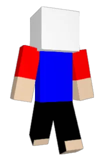 Uncertian Minecraft avatar full body