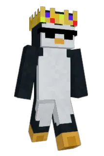 UncorkedMage385 Minecraft avatar full body