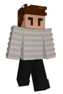 Ungles Minecraft avatar full body