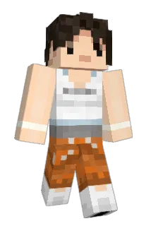 Union8_3347 Minecraft avatar full body