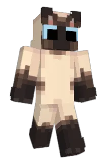 Unknown3451 Minecraft avatar full body
