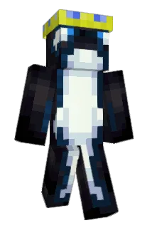 UnknownOrca962 Minecraft avatar full body