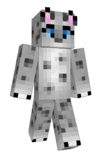 Unknowndruid Minecraft avatar full body