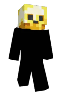 Untergeordneter Minecraft avatar full body