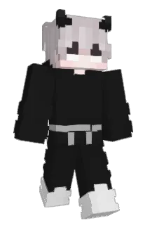 Unverletzbar Minecraft avatar full body