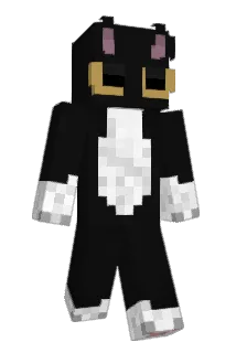 UrbanTm Minecraft avatar full body