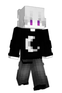 Ursinho_IMDD Minecraft avatar full body