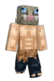 Usaname Minecraft avatar full body