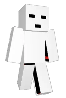 Username34569 Minecraft avatar full body
