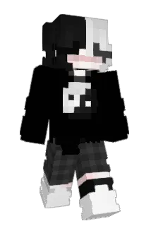 V01DZIN Minecraft avatar full body
